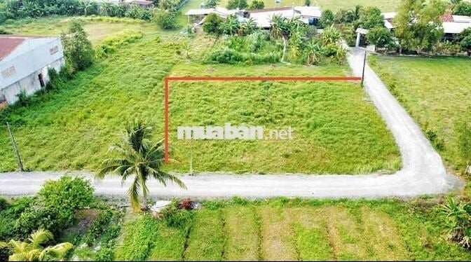 ✨✨ BÁN LÔ ĐẤT GÓC 2 MẶT TIỀN – NHUẬN ĐỨC, CỦ CHI ✨✨