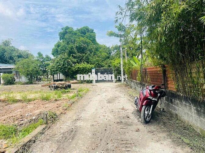 🚩 CƠ HỘI SỞ HỮU LÔ ĐẤT ĐẸP – TÂN AN HỘI, CỦ CHI 🚩