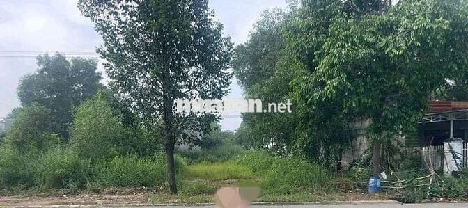 Đất "Vàng" mặt tiền Đ. NA7 Thới Hòa - Sát KCN Mỹ Phước 3 chỉ 820triệu.