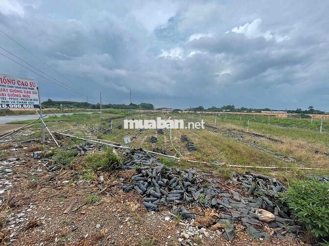 Ngân Hàng Thanh lý cắt Lỗ  với 200m2 ngay thị trấn Chơn Thành