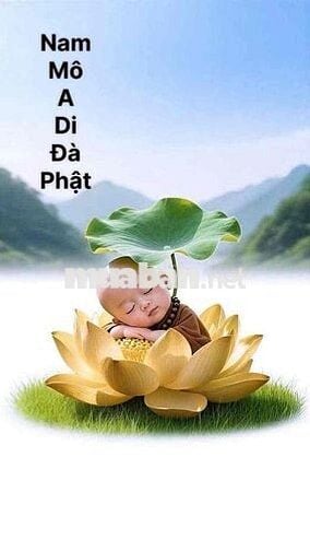 cho thuê mặt bằng khu trung sơn liền kề himlam