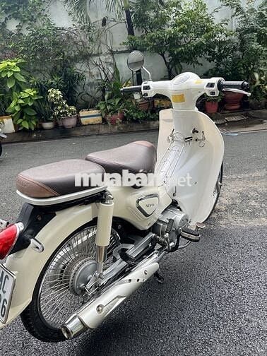 💥💥💥 Cub 50cc 💥ĐK 2024 Biển Sổ TP💥CÓ BẢO HÀNH💥💥💥