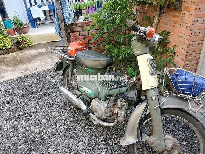 Super Cub 81 Bstp 50cc.