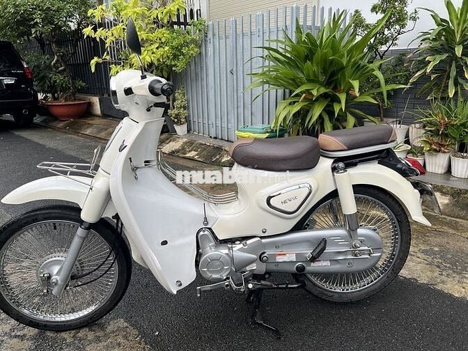 💥💥💥 Cub 50cc 💥ĐK 2024 Biển Sổ TP💥CÓ BẢO HÀNH💥💥💥