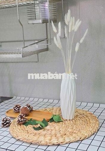 DUPLEX CỬA SỔ TRỜI SIÊU THOÁNG RỘNG 30M2 GIÁ HẠT DẺ SÁT BÊN VHU