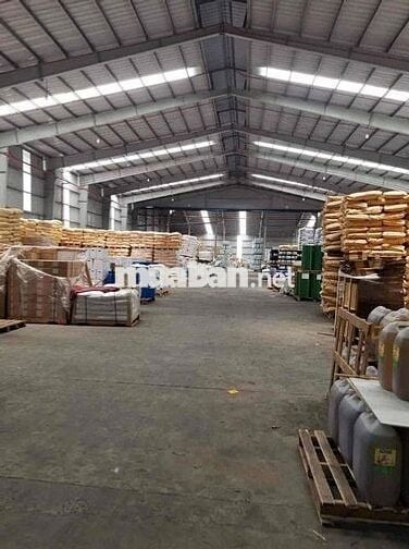CHO THUÊ XƯỞNG 1000m2 KHU VĨNH LỘC A  , CÒN THƯƠNG LƯỢNG ĐƯỢC