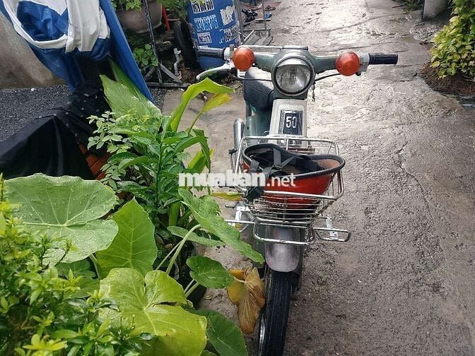 Super Cub 81 Bstp 50cc.