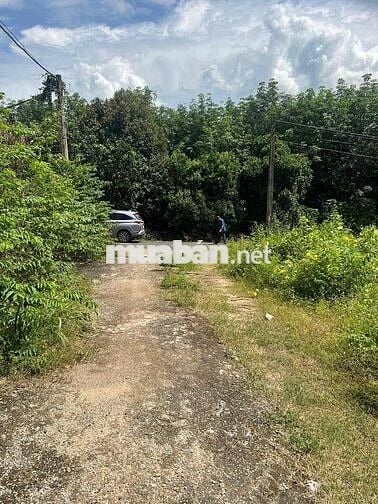 chính chủ bể ngộp miếng đất lô góc 2 mặt tiền siêu đẹp