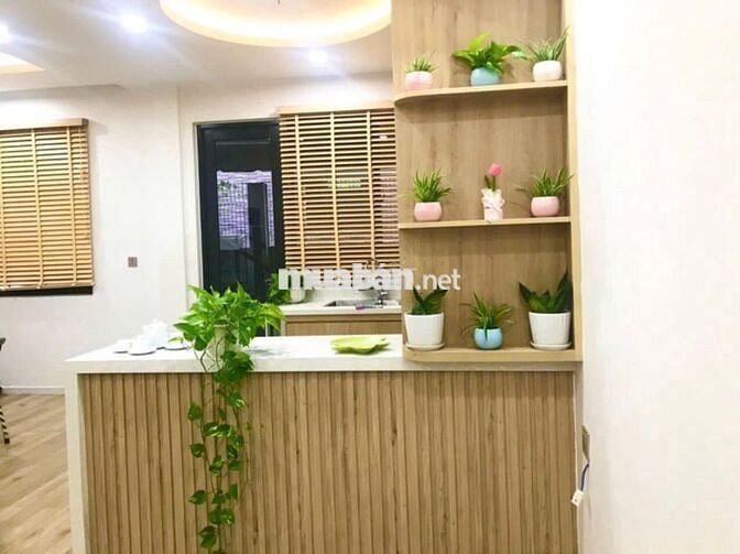 Cho thuê Nhà phố vườn 1 trệt 1 lầu 3pn 2vs Full NT yên tĩnh, mát mẽ