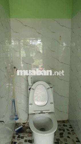 Cho thuê nhà vườn tx 24 q12 dt 200m giá 8tr