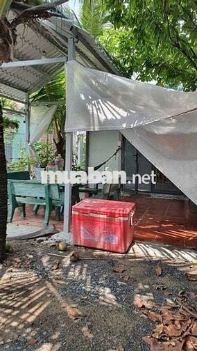 Cho thuê nhà vườn tx 24 q12 dt 200m giá 8tr