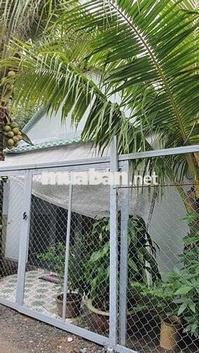 Cho thuê nhà vườn tx 24 q12 dt 200m giá 8tr