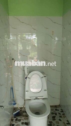 Cho thuê nhà vườn tx 24 q12 dt 200m giá 8tr