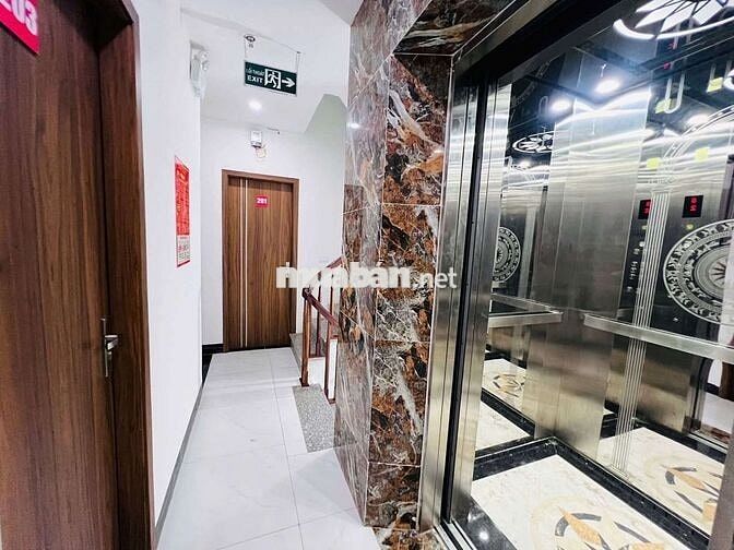 Bán CHDV đẻ trứng vàng  phố hồ tùng mậu