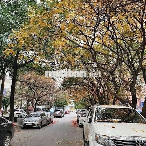 Căn hộ CC 60m khu N0 Trần Quý Kiên - nhà đẹp - tầng đẹp - giá tốt 5tỷ