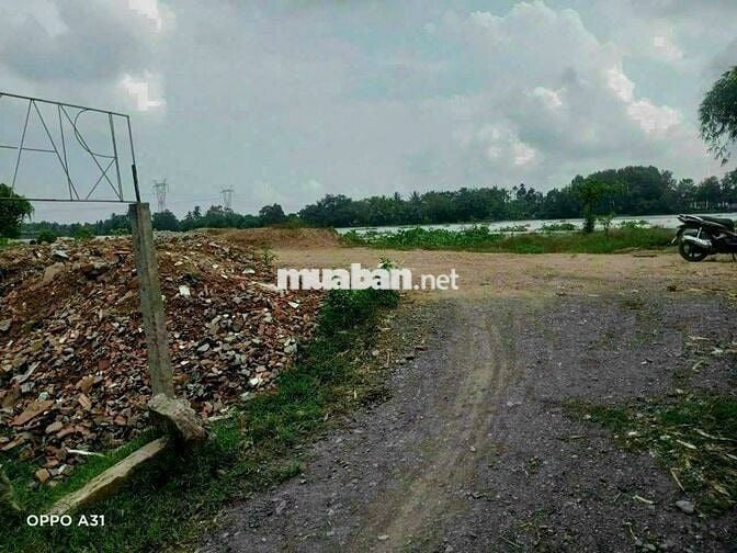 Bán vườn cây ăn trái 1466m2 xã Trung An - Củ Chi