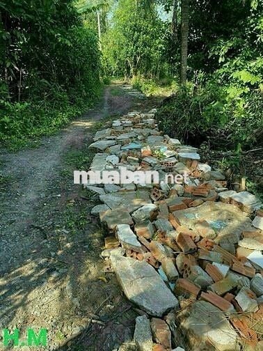 Bán vườn cây ăn trái 1466m2 xã Trung An - Củ Chi