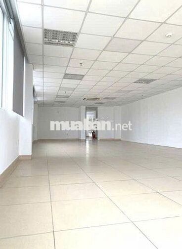 Cho Thuê Nhà Đường Trường Chinh, Tân Bình ( 15x20m - Thang Máy )
