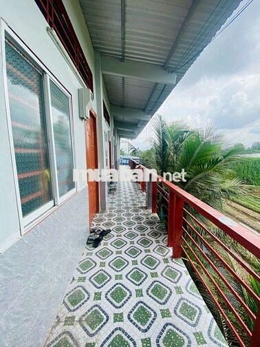 Cho thuê trọ 1tr7.  Lộ 20m.Siêu thị Go. Pk. Bếp. Gác. Wc