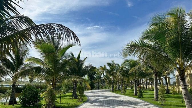 Bán đất đường DT 818 Xã Thủ Thừa Tây Ninh ( Long An cũ )