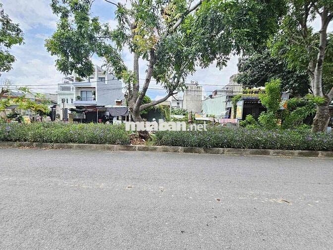 Đất mặt tiền 100m2 KDC tứ hải, phường Tân Đông Hiệp Tp Dĩ An