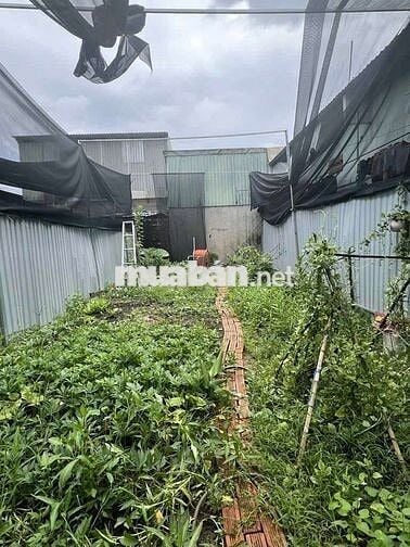 THỬA ĐẤT TL10- 610 TỜ 25- 87M2- ĐƯỜNG ÔTÔ TẢI- SỔ VUÔNG- CHỈ 5.4TY