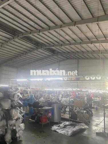 Xưởng Thuận An 2300m Có PCCC Vách Đường Cont + Trạm Điện