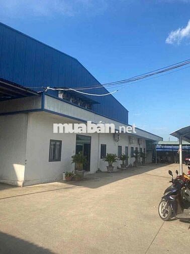 Xưởng Thuận An 2300m Có PCCC Vách Đường Cont + Trạm Điện