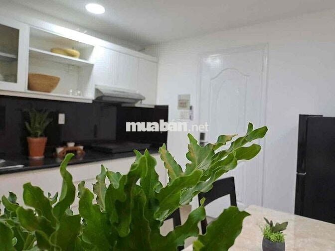 ✅🏡Căn hộ mini 2PN tại Hai Bà Trưng gần nhà thờ Tân Định, Horizon tower