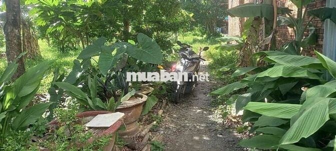 🌟 BÁN 9,6 CÔNG ĐẤT MẶT TIỀN LÂM QUANG KY – Cách đường 3/2 1km