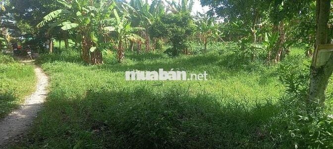 🌟 BÁN 9,6 CÔNG ĐẤT MẶT TIỀN LÂM QUANG KY – Cách đường 3/2 1km