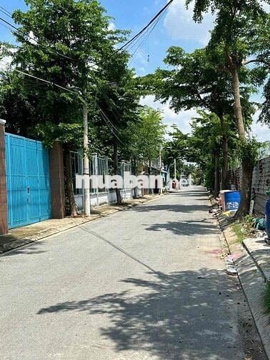 bán chung cư mini giá siêu rẻ,27m2 2 phòng ngu 1 wc