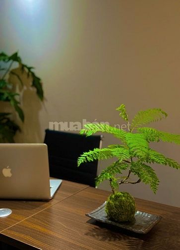 CHO THUÊ VĂN PHÒNG TRỌN GÓI TẠI QUẬN 3 - AN PHÚ PLAZA