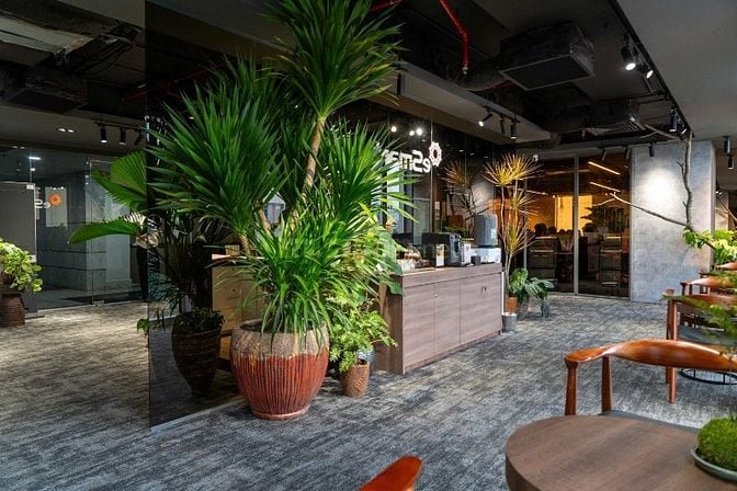 CHO THUÊ VĂN PHÒNG TRỌN GÓI TẠI QUẬN 3 - AN PHÚ PLAZA