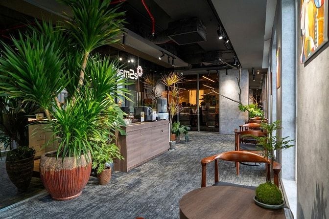 CHO THUÊ VĂN PHÒNG TRỌN GÓI TẠI QUẬN 3 - AN PHÚ PLAZA