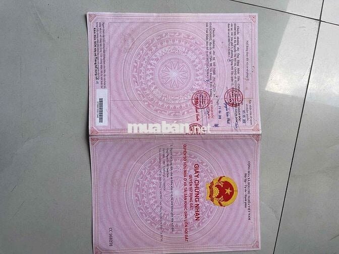 bán chung cư mini giá siêu rẻ,27m2 2 phòng ngu 1 wc