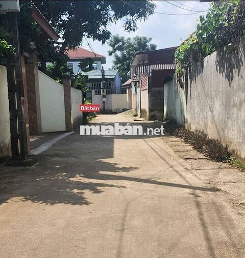 Hàng siêu hiếm chỉ nhỉnh tỷ có ngay 52m - tại Cầu Xây -Tân Dân