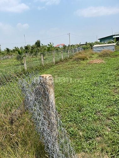 Cần bán gấp đất thổ cư, sổ hồng riêng