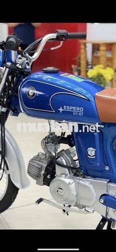 Honda 67
