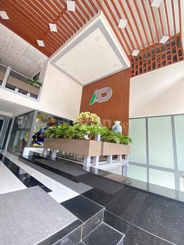 Bán CHDV mặt tiền đường số 81 Tân Quy, Quận 7. DT 14 x 20m. Giá 69 tỷ