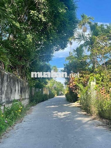 ♨️ BÁN ĐẤT - NGAY TRUNG TÂM PHỐ CỔ HỘI AN - DIỆN TÍCH RỘNG -  ĐƯỜNG LỀ