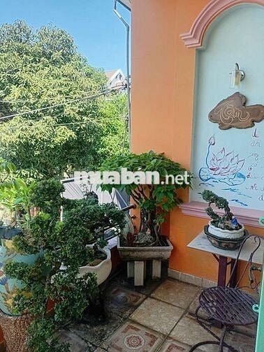 Cho thuê nhà mặt tiền 7 Tài tân xuân 1 lau 3pn 8tr