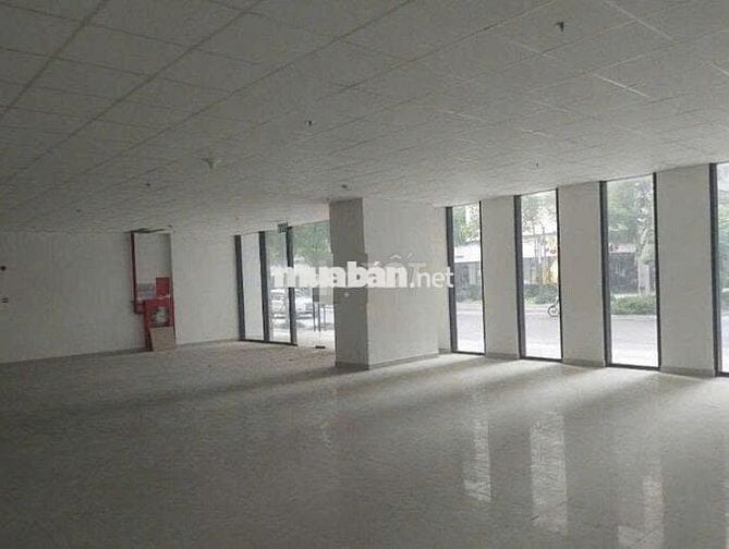 Tòa Nhà Mới  cho thuê mặt tiền Tô Hiến Thành, gần BIG C Quận 10
