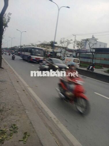 Nhà mặt tiền 366m2, đường Trần Văn Giàu, Tân Vĩnh Lộc mới, TPHCM