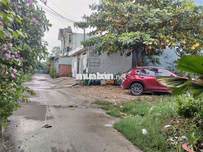 Đất thổ cư 1/Bùi Thị Lùng-Thới Tam Thôn-Hóc Môn.Dt 640m2~11,5ty