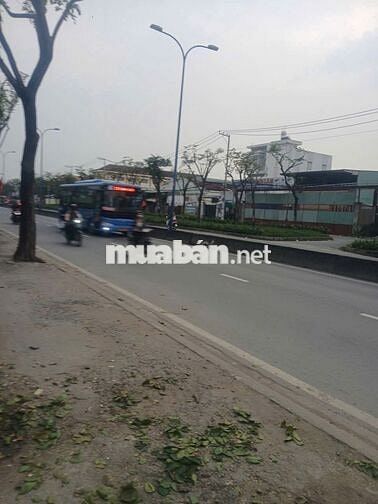 Nhà mặt tiền 366m2, đường Trần Văn Giàu, Tân Vĩnh Lộc mới, TPHCM