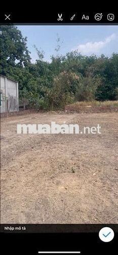 BÁN ĐẤT UYÊN HƯNG TÂN UYÊN CÁCH DT746 100M DIỆN TÍCH 707M2 NGANG 21M