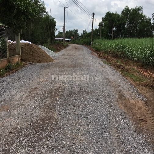 Vĩnh Thanh-Nhơn Trạch đg ô tô,kdc,shr,dt 235m thổcư giá 1,75 tỷ(7,4tr)