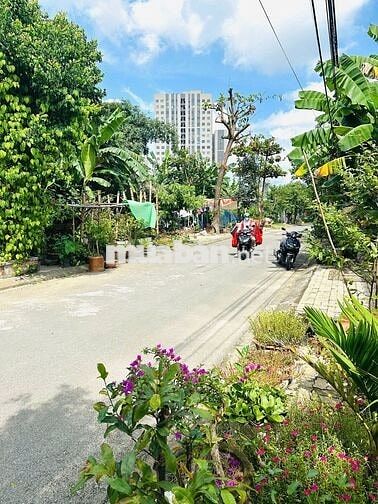 🔥 ĐẤT MẶT TIỀN TRƯƠNG VÂN LĨNH – GIÁ 2TY85 CỰC RẺ  🔥