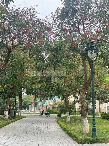 Bán căn Biệt thự 500m2 khu Hồ lớn Nam An Khánh